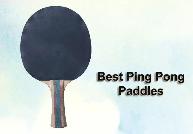 best ping pong paddles