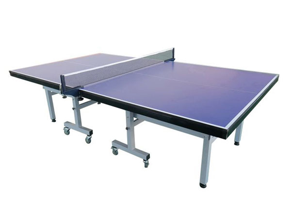 table tennis table for sales