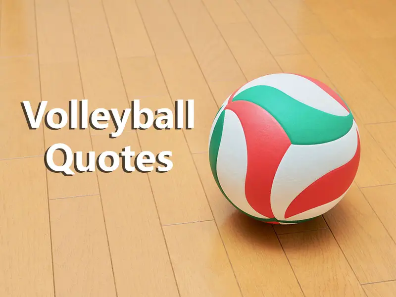 volleyball quotes