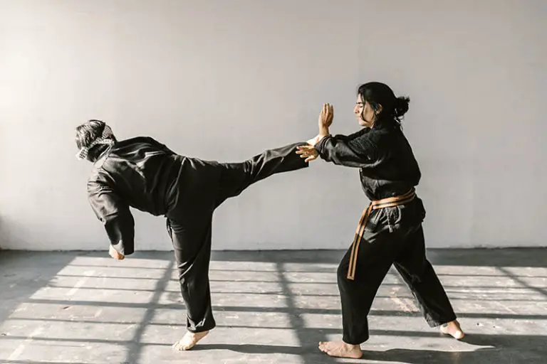 25 Types Of Martial Arts Kicks Sports sites