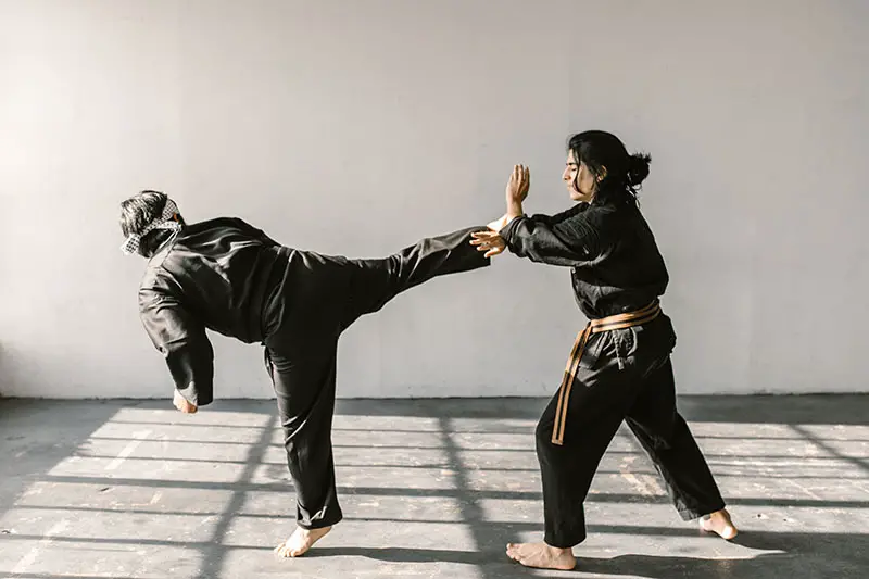 martial arts kicks